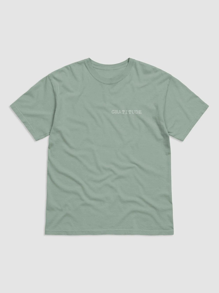 Gratitude t-shirt product image (27)