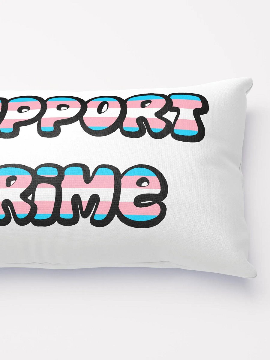 Trans Crime Decorative Pillow product image (2)