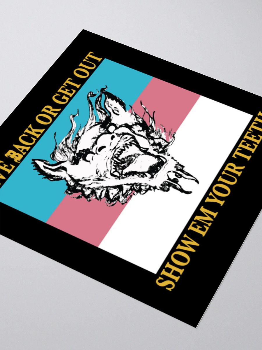 S.E.Y.T. flag sticker product image (3)