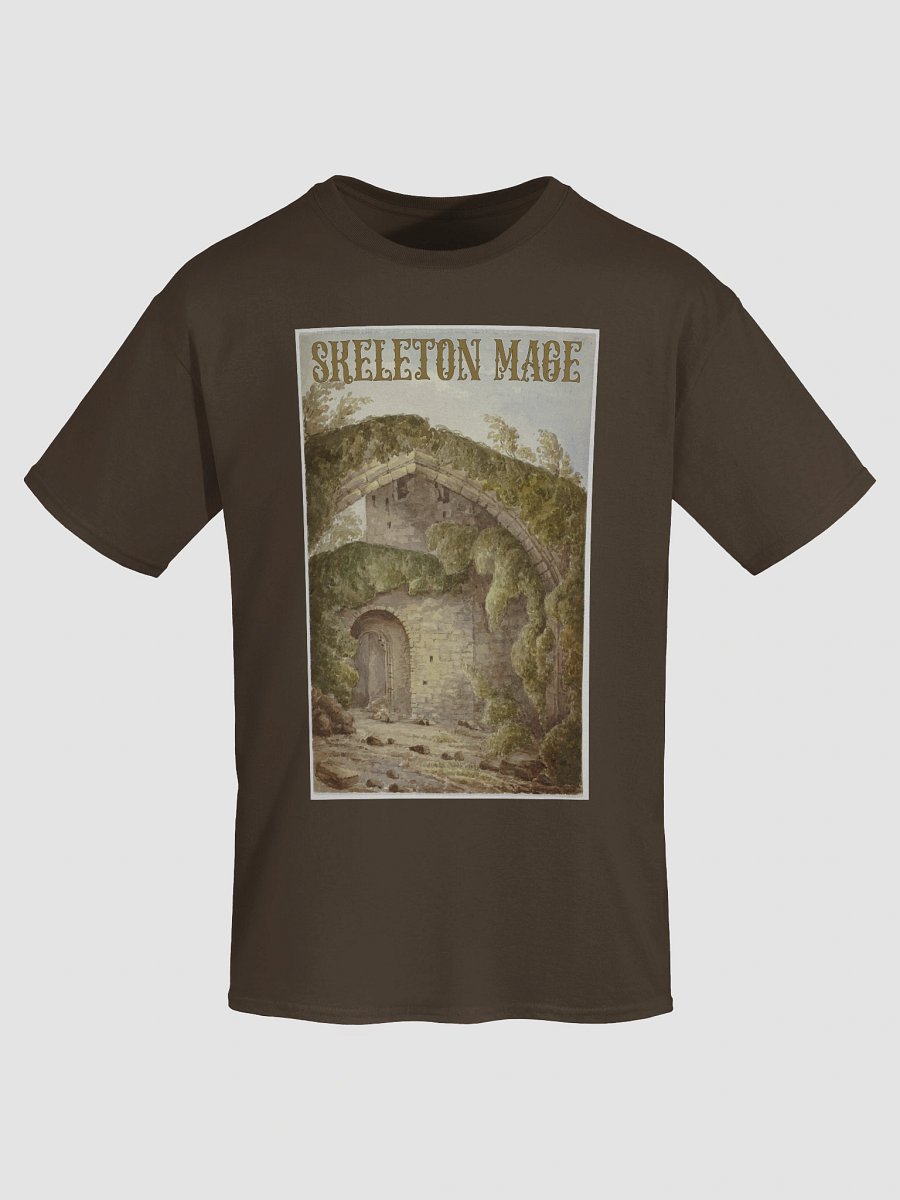 Of Mossy Ruins and Forest Paths T-shirt product image (26)
