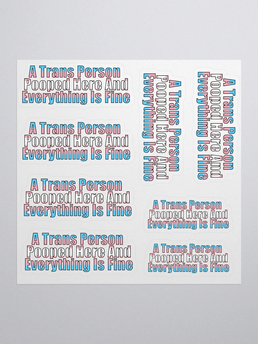 A Trans Person Pooped Here Stickers product image (1)