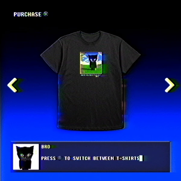 HAVE YOU SEEN BRO tee product image (2)