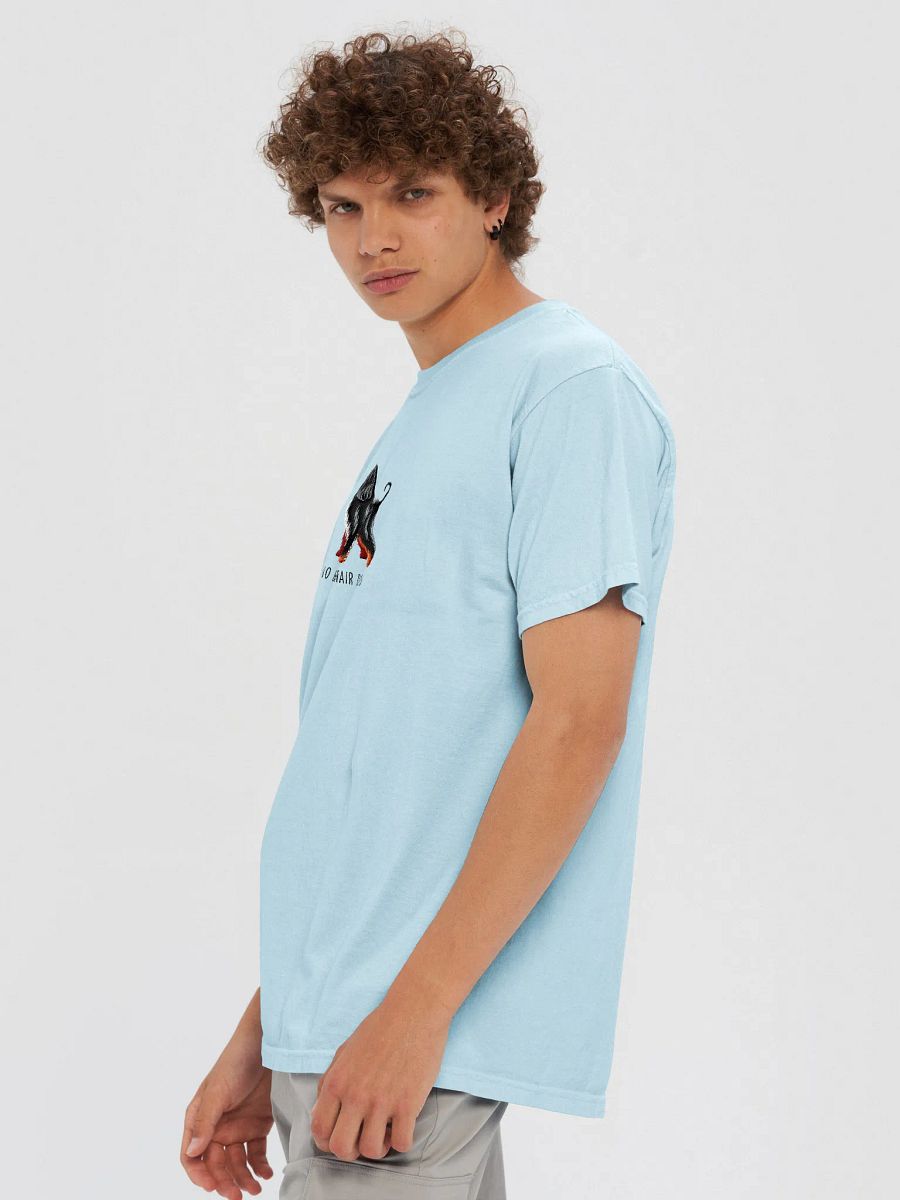 No Bad Hair Days T-Shirt(Embroidered) of an Afghan Hound(Black & Tan) product image (38)