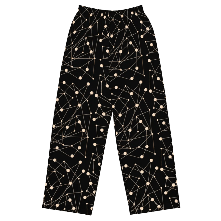 Stellar Nexus Wide Leg Pants product image (1)