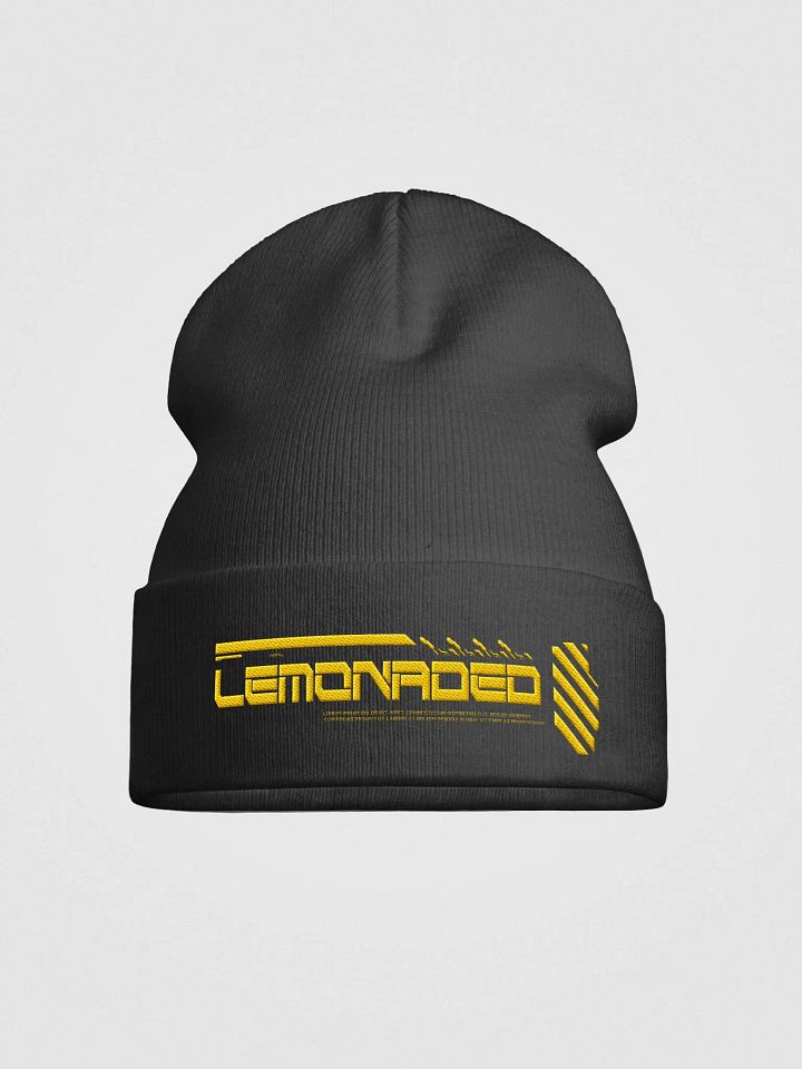 2117 - Beanie product image (1)
