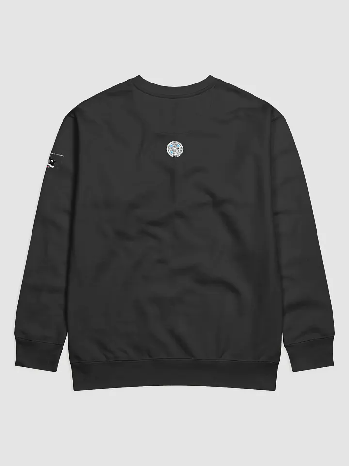 Starry QR Code Premium Sweatshirt product image (12)