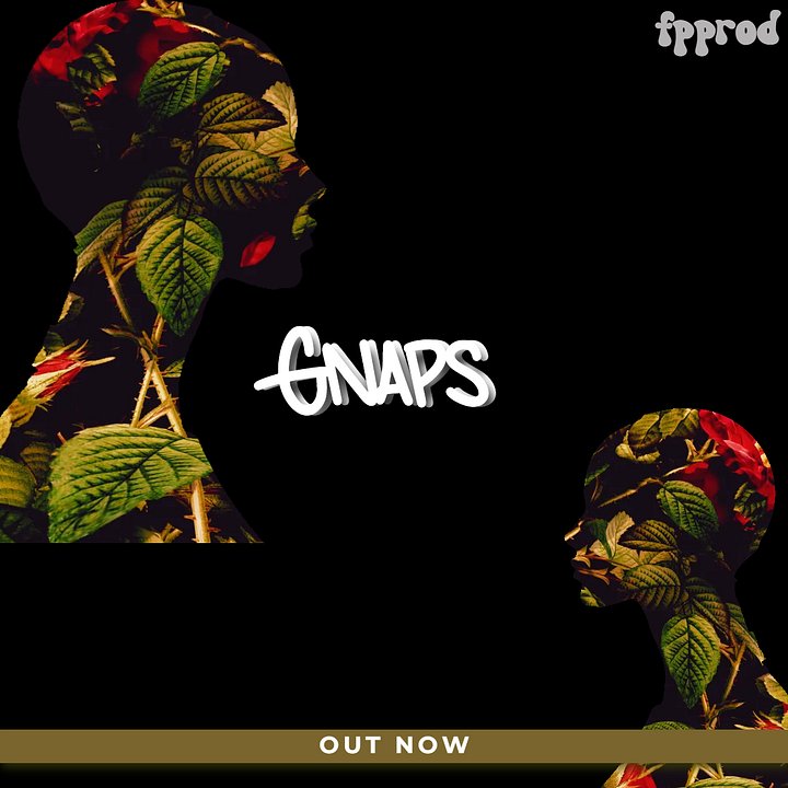 Gnaps product image (1)