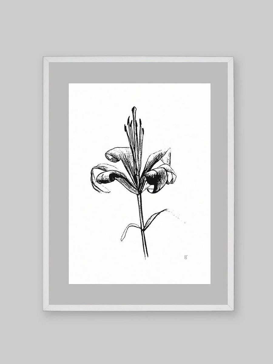 Lily Elegance Poster - Fine Flower Light product image (10)