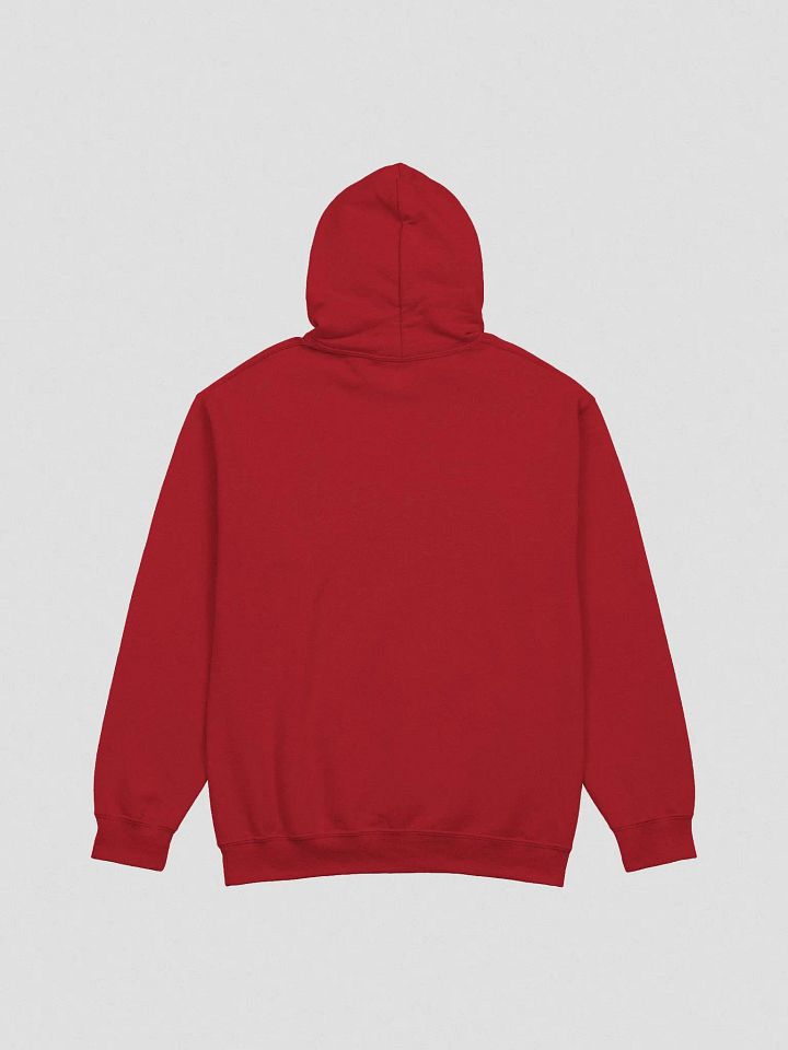 A BETTER PLACE HOODIE - (UNISEX) product image (12)