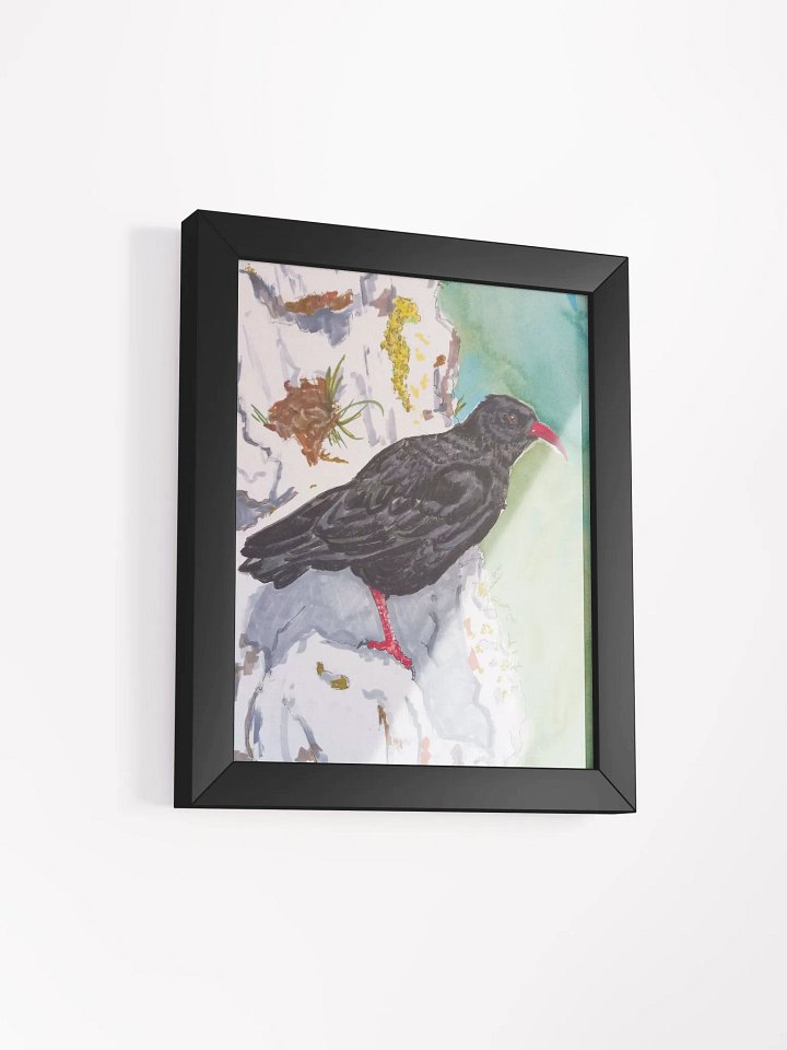 Corvid Series [04] Chough framed print product image (2)