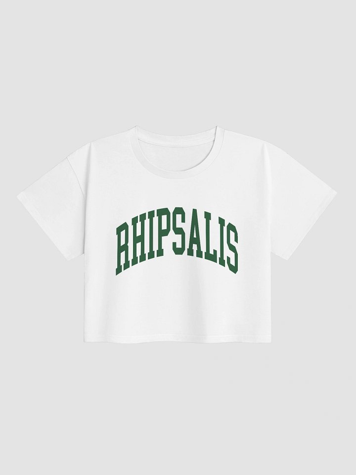 RHIPSALIS Varsity - Crop Top product image (9)