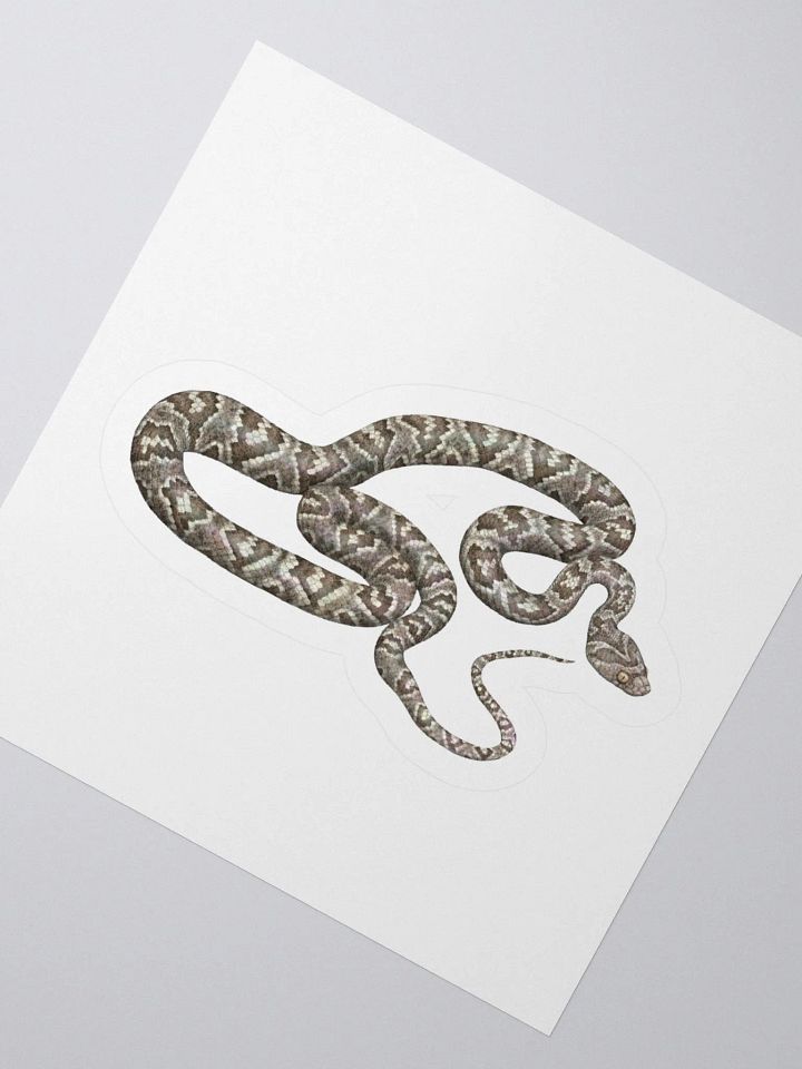 Die-Cut Sticker – Sonoran Lyresnake product image (2)
