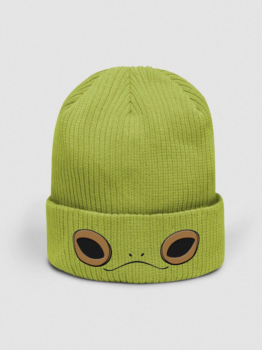 Sir Toadsworth Beanie product image (1)
