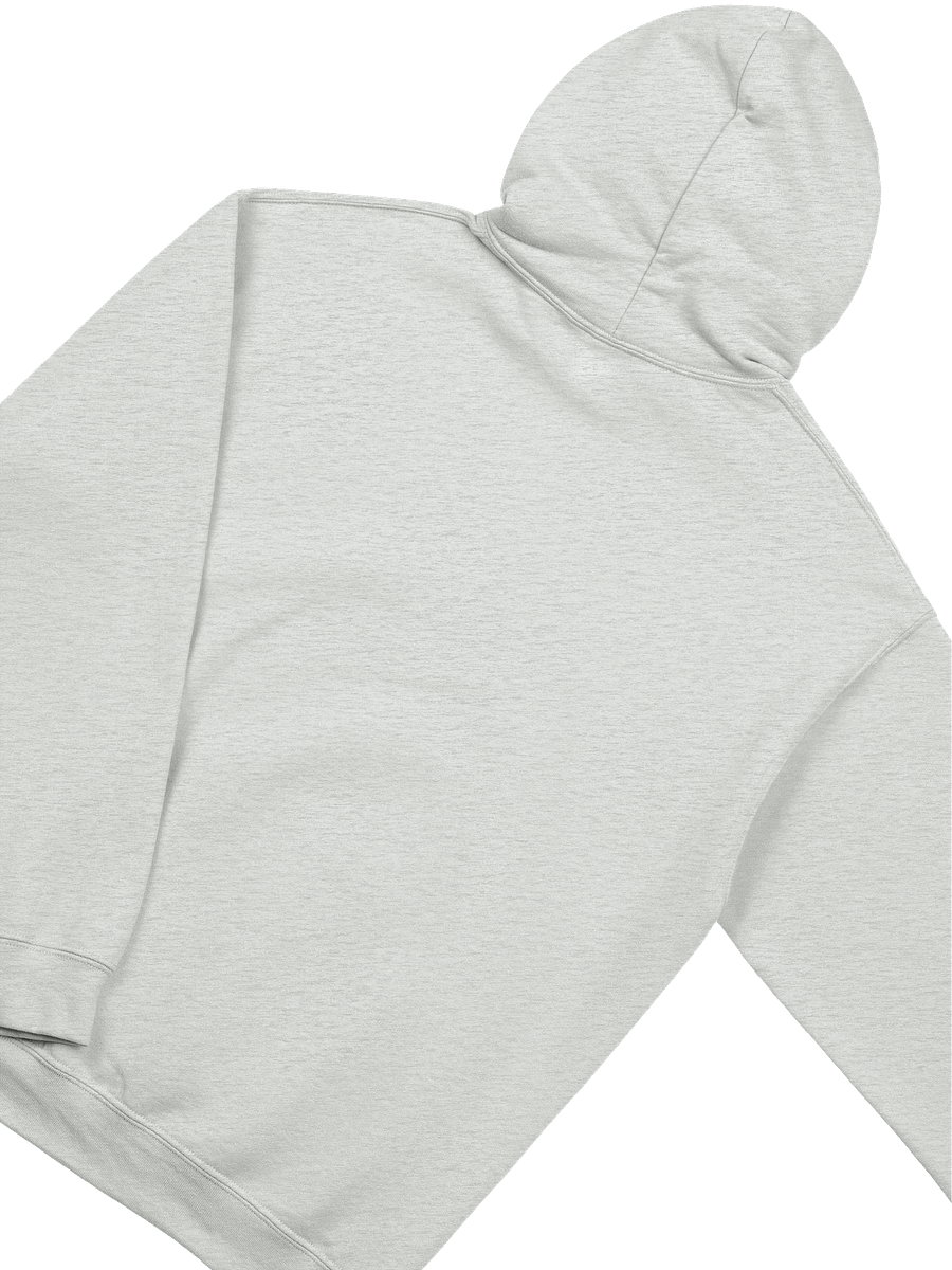 CTE Statement Hoodie II product image (16)
