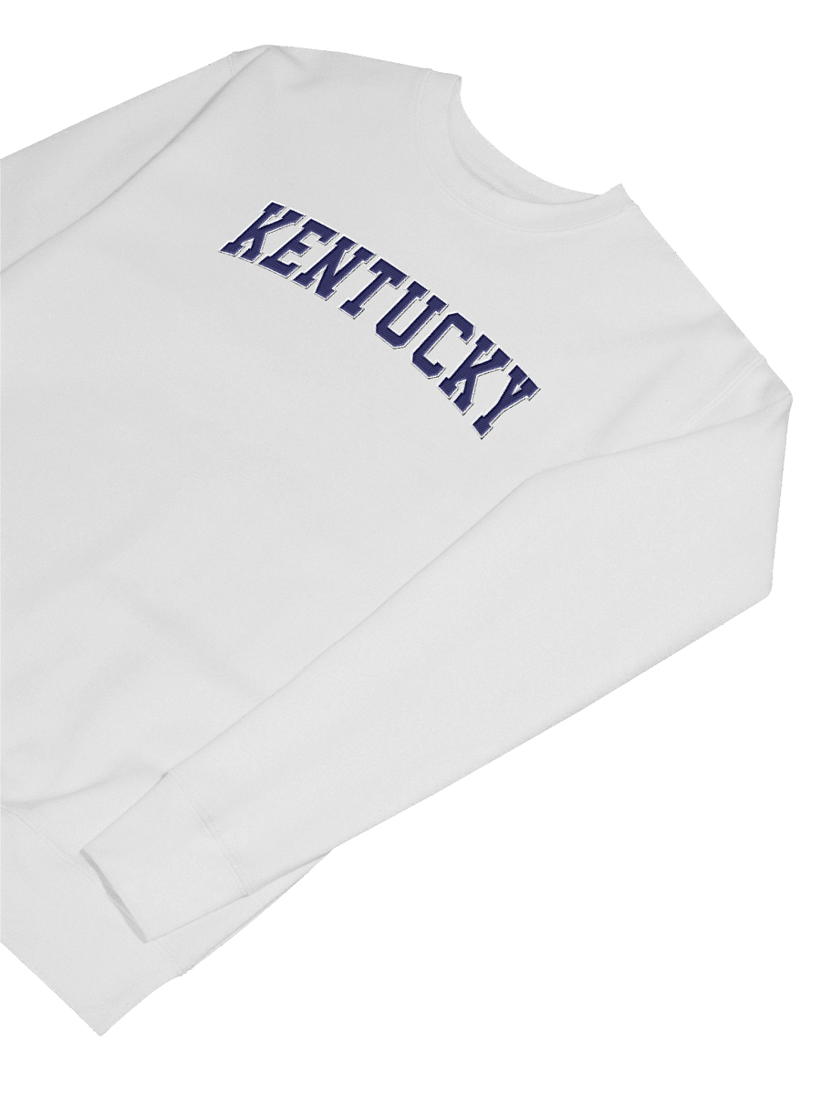 Kentucky Vintage Stylish Embroidery Premium Sweatshirt product image (69)