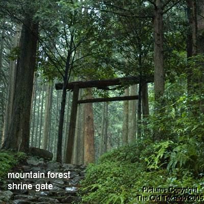 Japan Shinto Shrine Gate - Small Wood Model Torii Tori product image (10)
