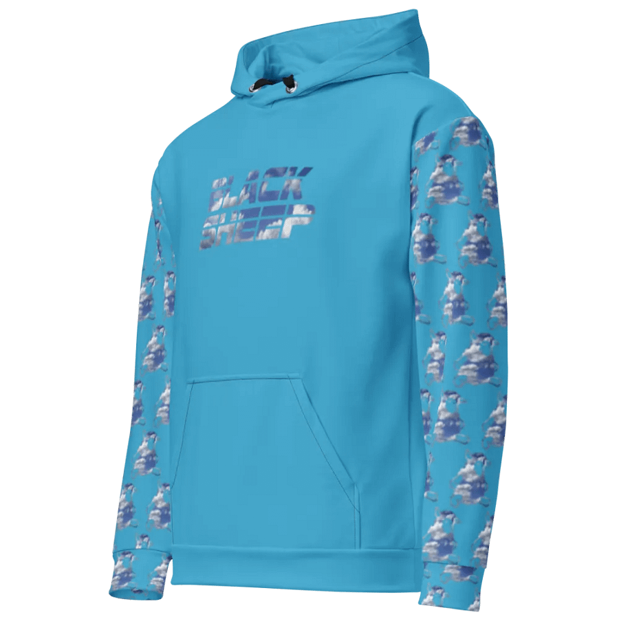 The Sky Is The Limit(Hoodie)(Pantone) product image (12)
