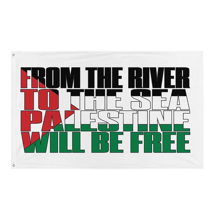 Palestine - From The River To The Sea - Flag/Banner product image (1)