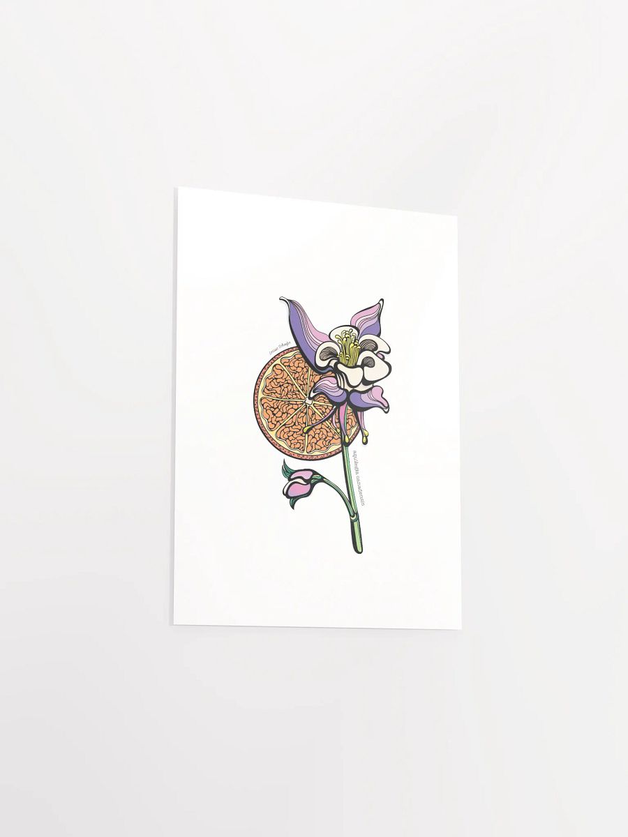 "Aquilegia Canadensis Wild Flower" Print product image (14)