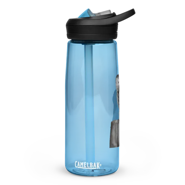 Barn Owl Drawing Water Bottle Straw product image (4)