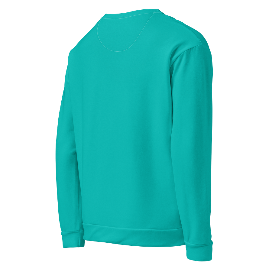 Aquamarine Blue Solid Color Eco Friendly Unisex Sweatshirt product image (5)