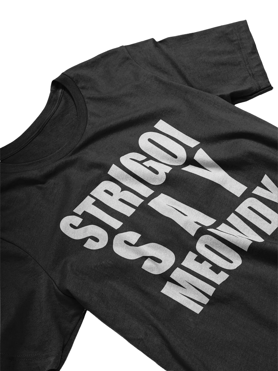 DJ STRIGOI MEOWDY SOFT TEE product image (8)
