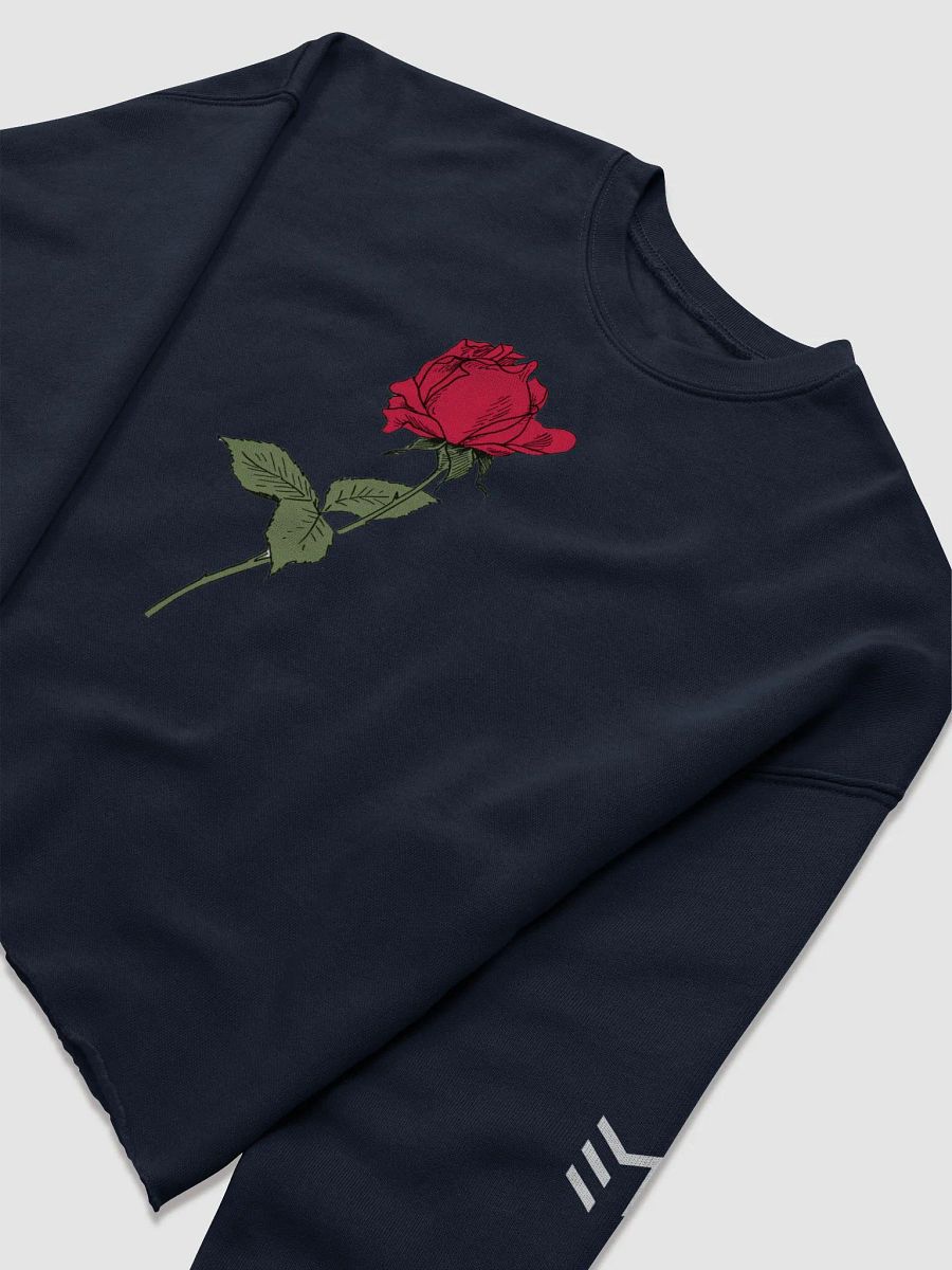 EM \\ Cropped Sweatshirt product image (5)