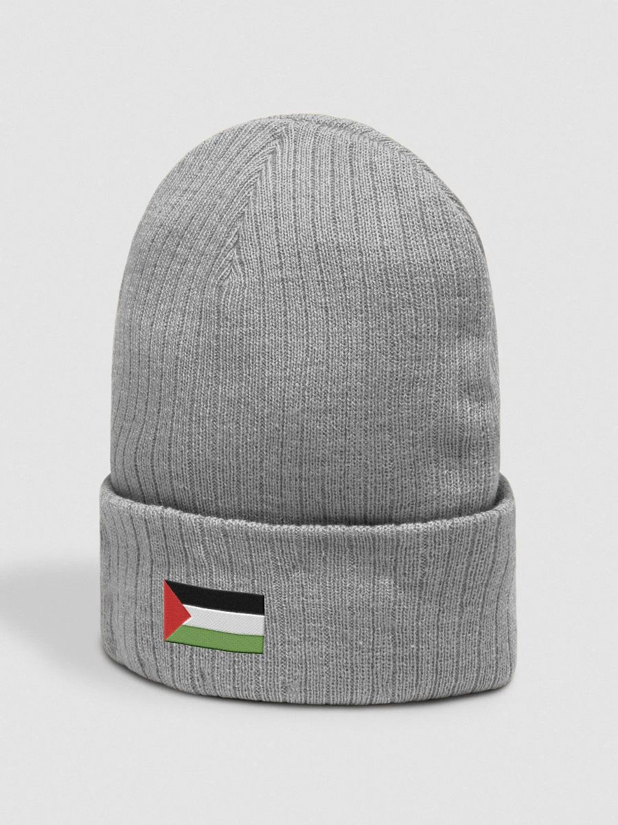 Atlantis Ribbed Knit Beanie | Palestina flag product image (3)