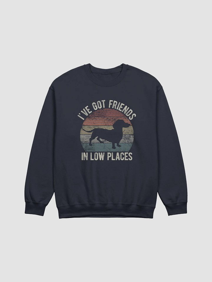 I've Got Friends in Low Places Dachshund Sweatshirt | Funny Vintage-Style Shirt for Wiener Pawrents product image (1)