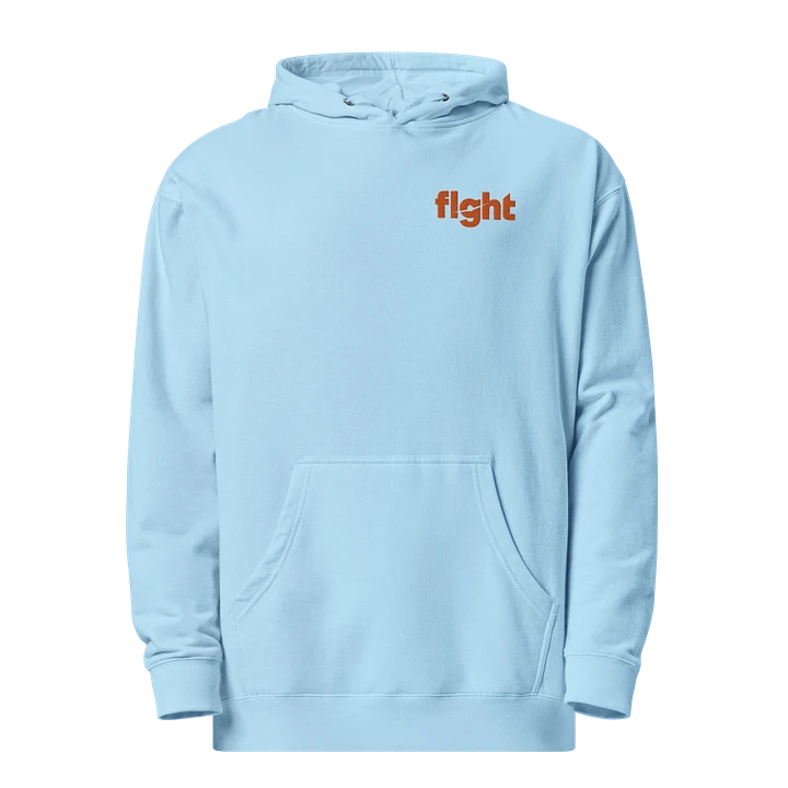 flght Embroidered Hoodie product image (2)