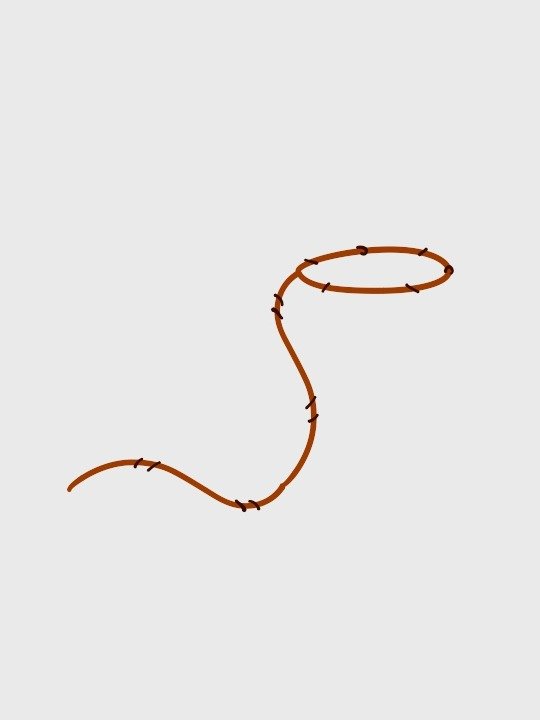 Lasso product image (1)