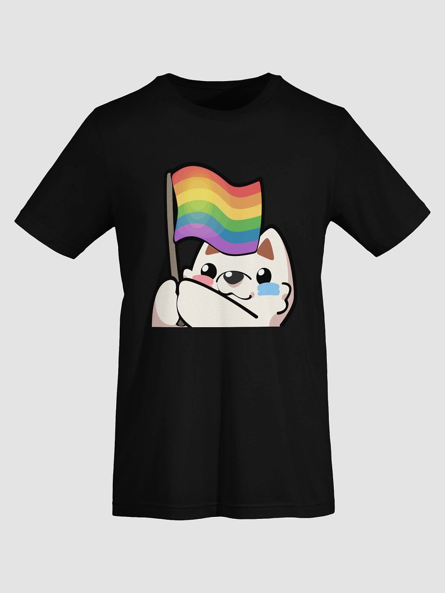 Rainbow Pride T-Shirt product image (71)