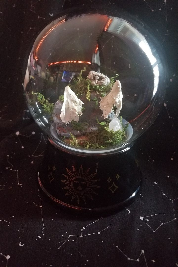 Haunted Terrarium Jar, A product image (1)