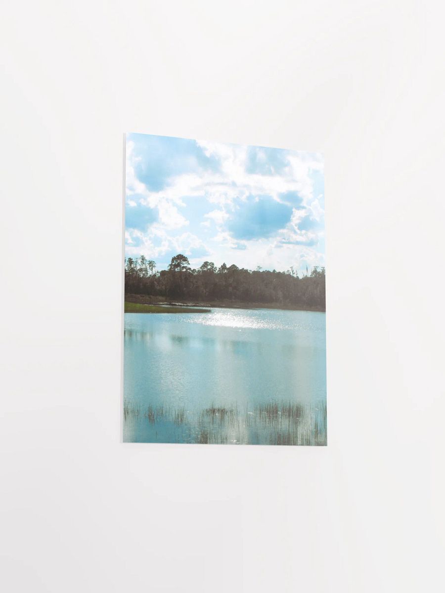 Florida Lake product image (42)