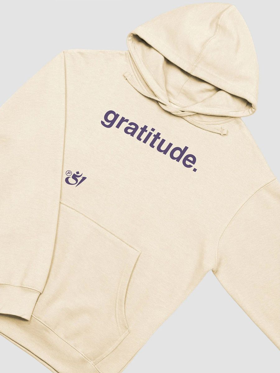 gratitude. hoodie product image (3)