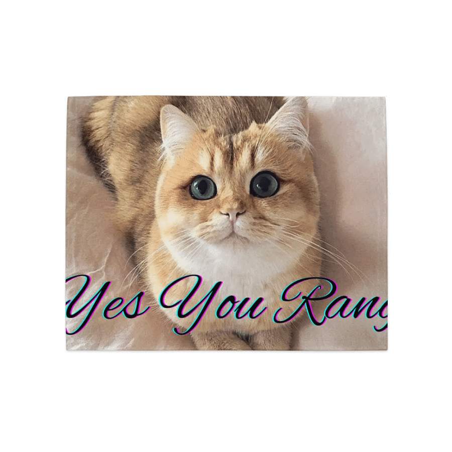 Cute Cats product image (3)