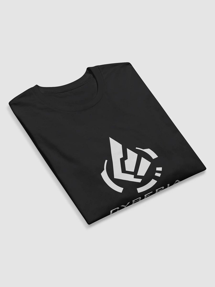 Next Level Cybermium Fitted Long Sleeve Crew product image (10)