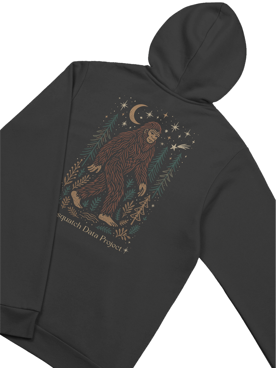 Celestial Sasquatch Hoodie product image (4)