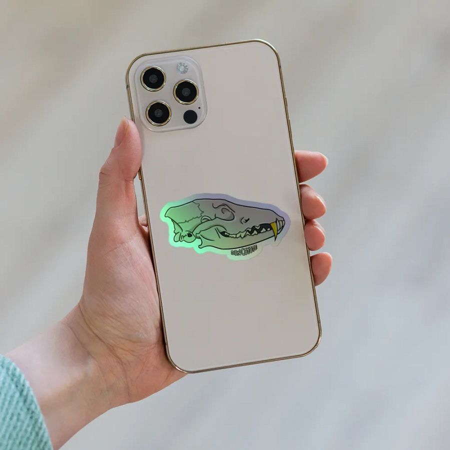 DC SKULL HOLO STICKERS product image (6)