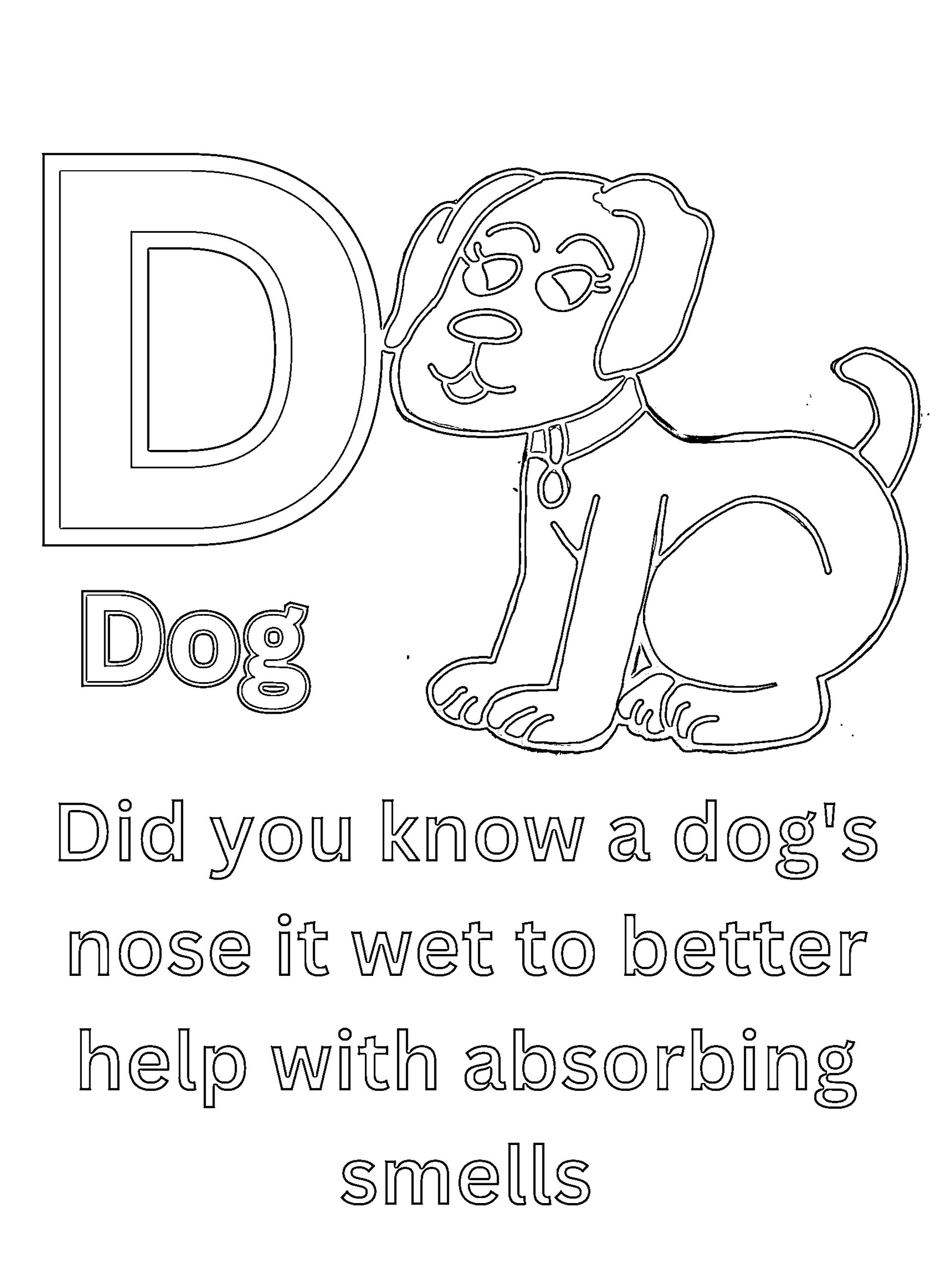 Cool Animal Facts ABCs Coloring Book: Animal Names and Information for Preschoolers and Kindergarten Children product image (3)