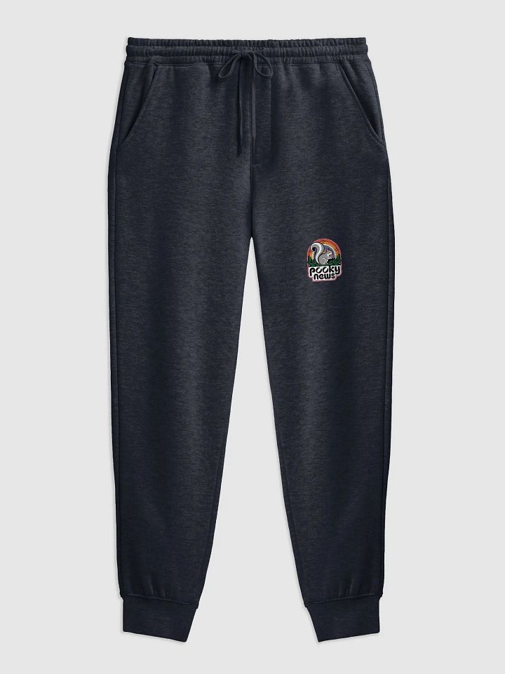 Pooky News, 70s colorful and Playful Squirrel Fleece Joggers product image (1)