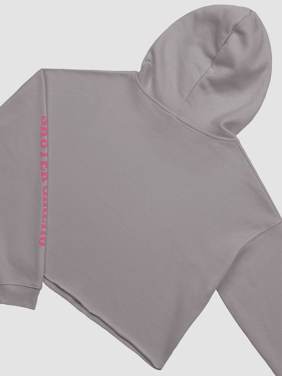 SK8's Vibin and Thrivin Cropped Hoodie product image (4)