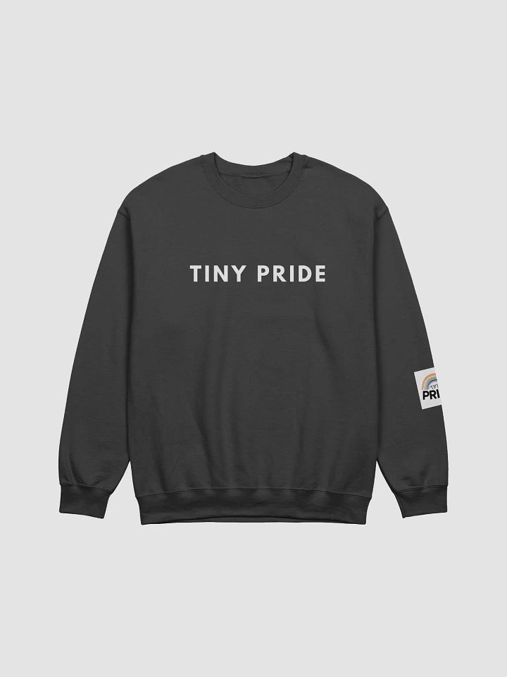 Pride on Your Sleeve product image (4)