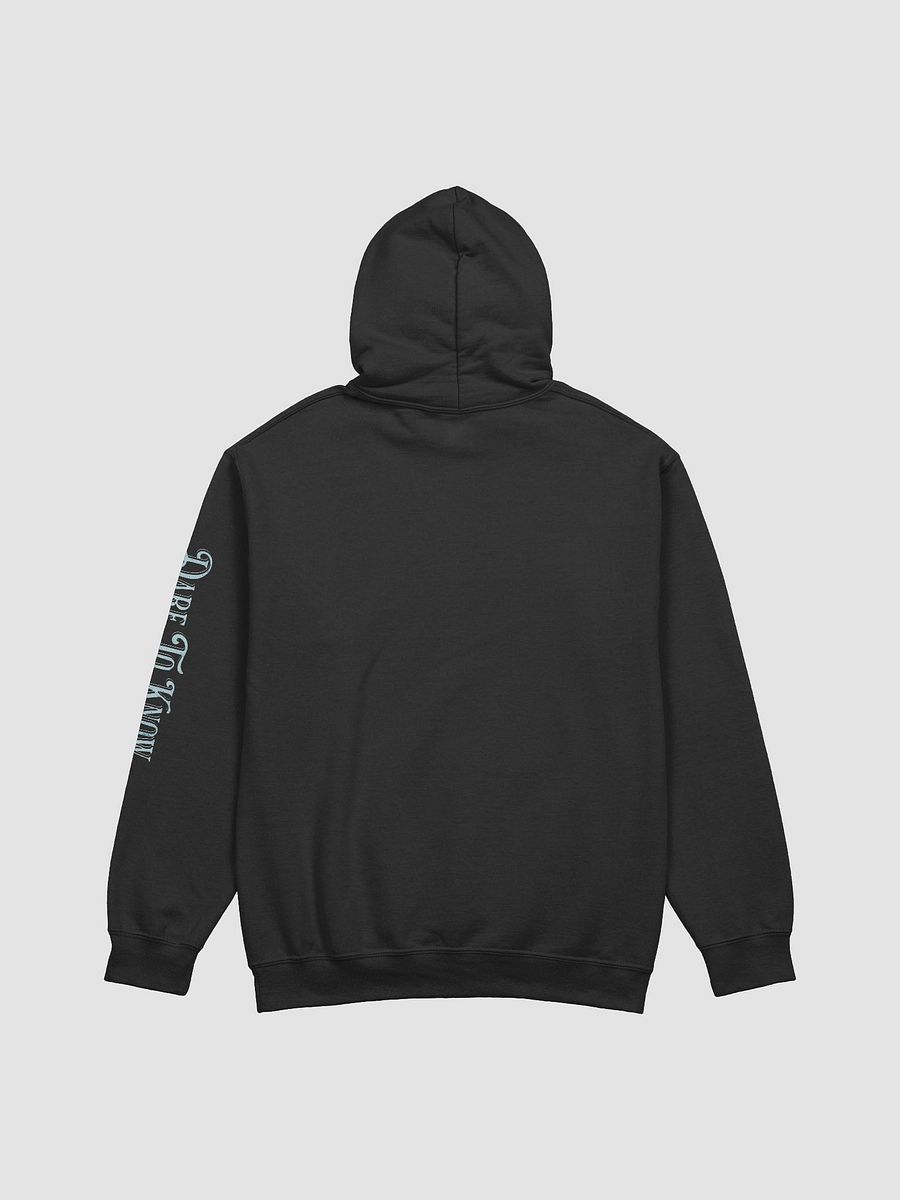 Sapere Aude Hoodie product image (5)