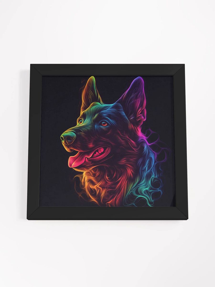 Belgický ovčák Malinois, neonový product image (40)