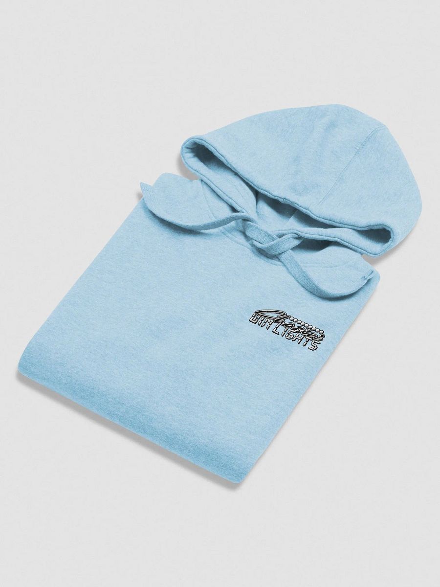 Chasing Win Lights - Embroidered Hoodie product image (40)