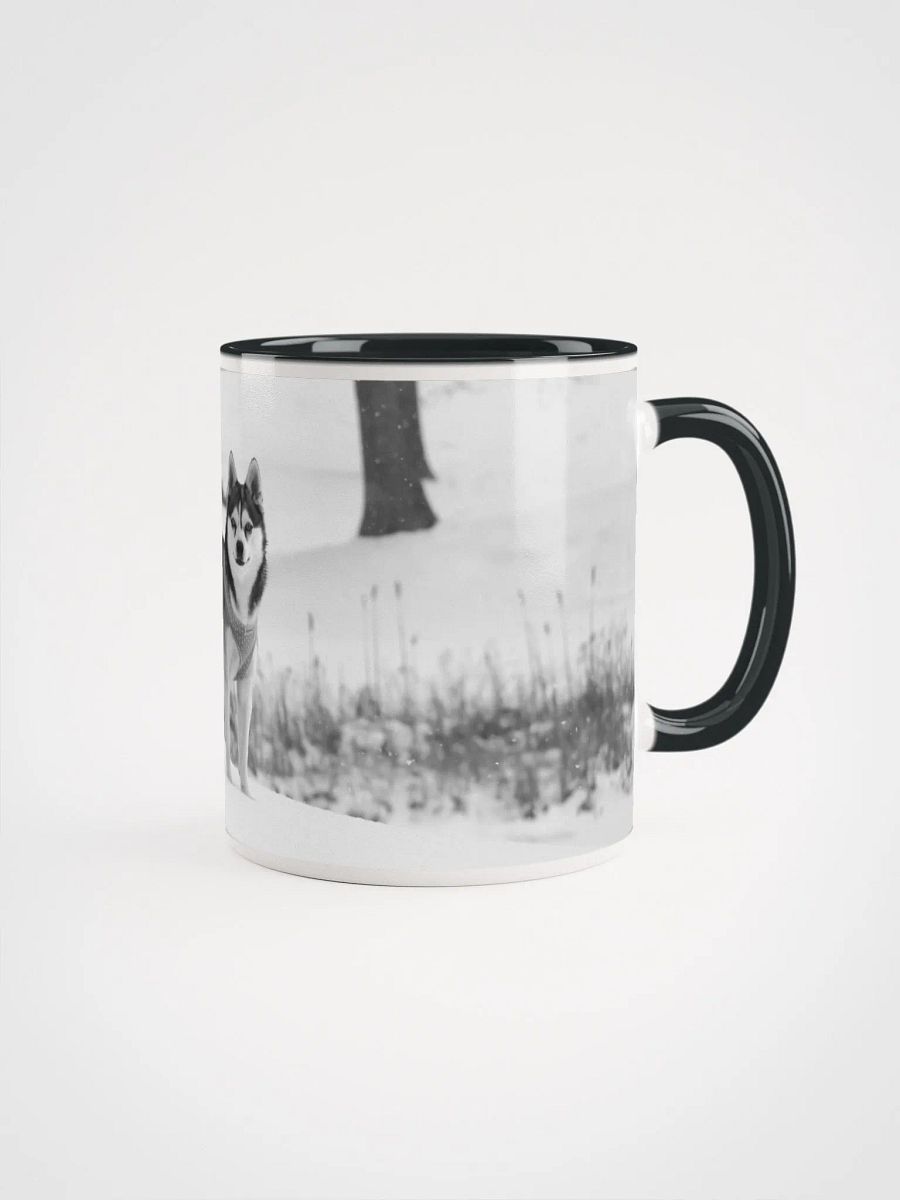 Cute Klee Kai Puppy - Black & White product image (3)