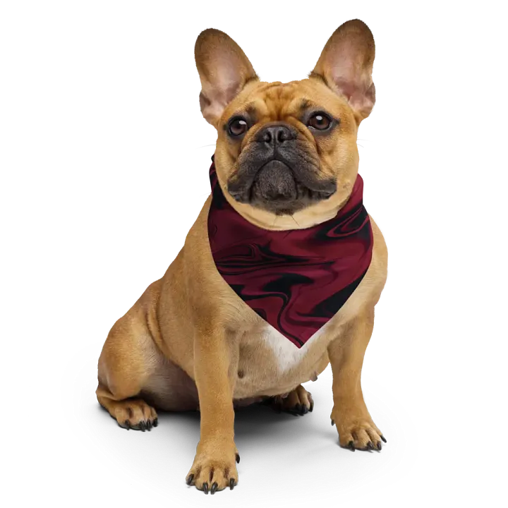 Stylish Swirl Bandana product image (2)