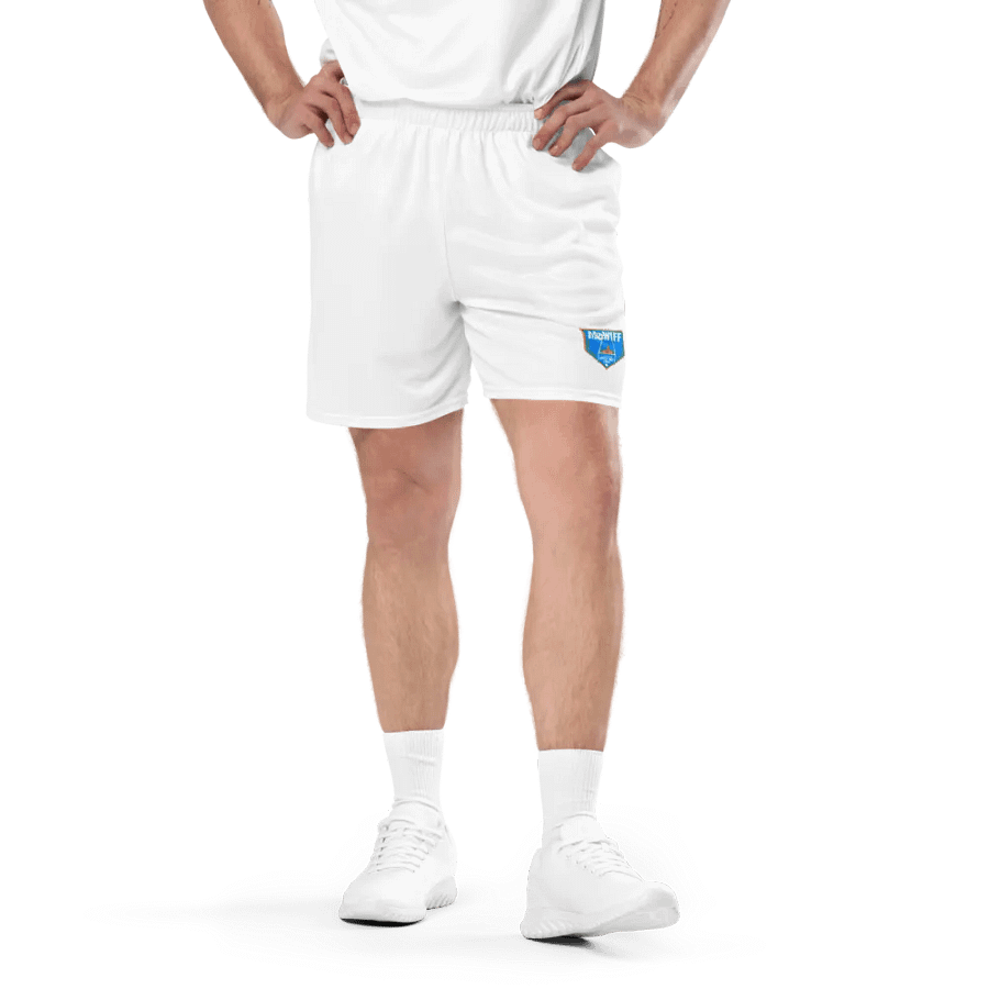 Main Logo Mesh Shorts product image (1)