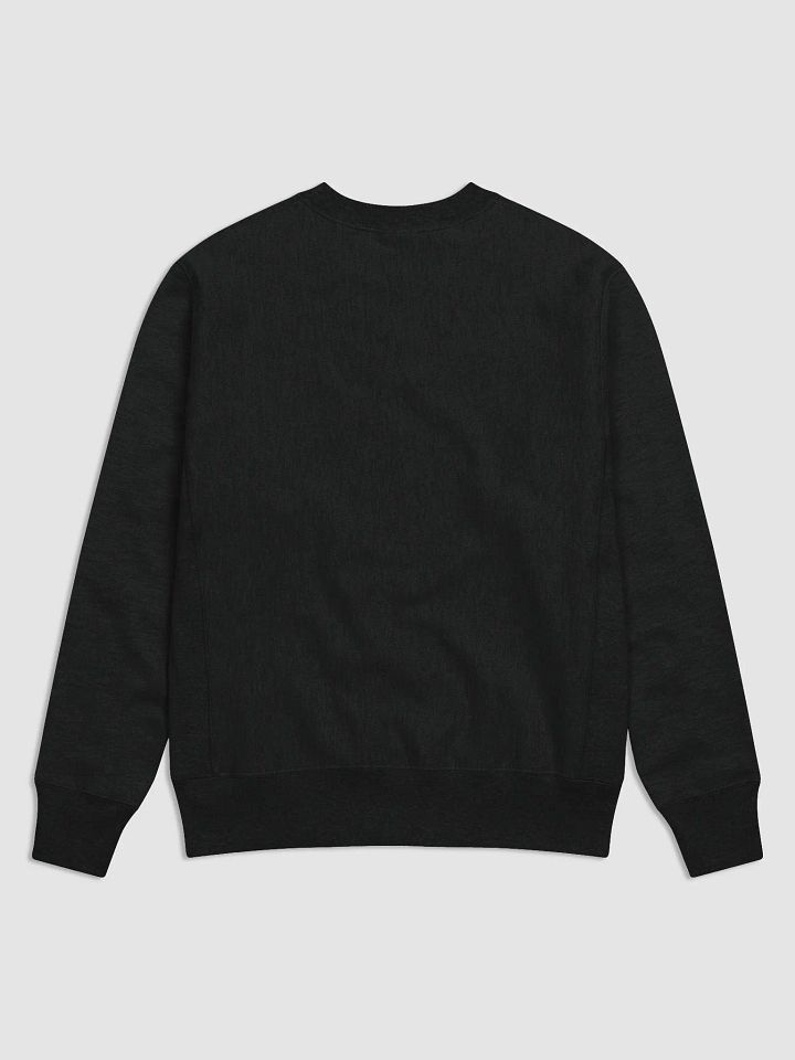 Limited Edition Champion Average Sweater product image (2)